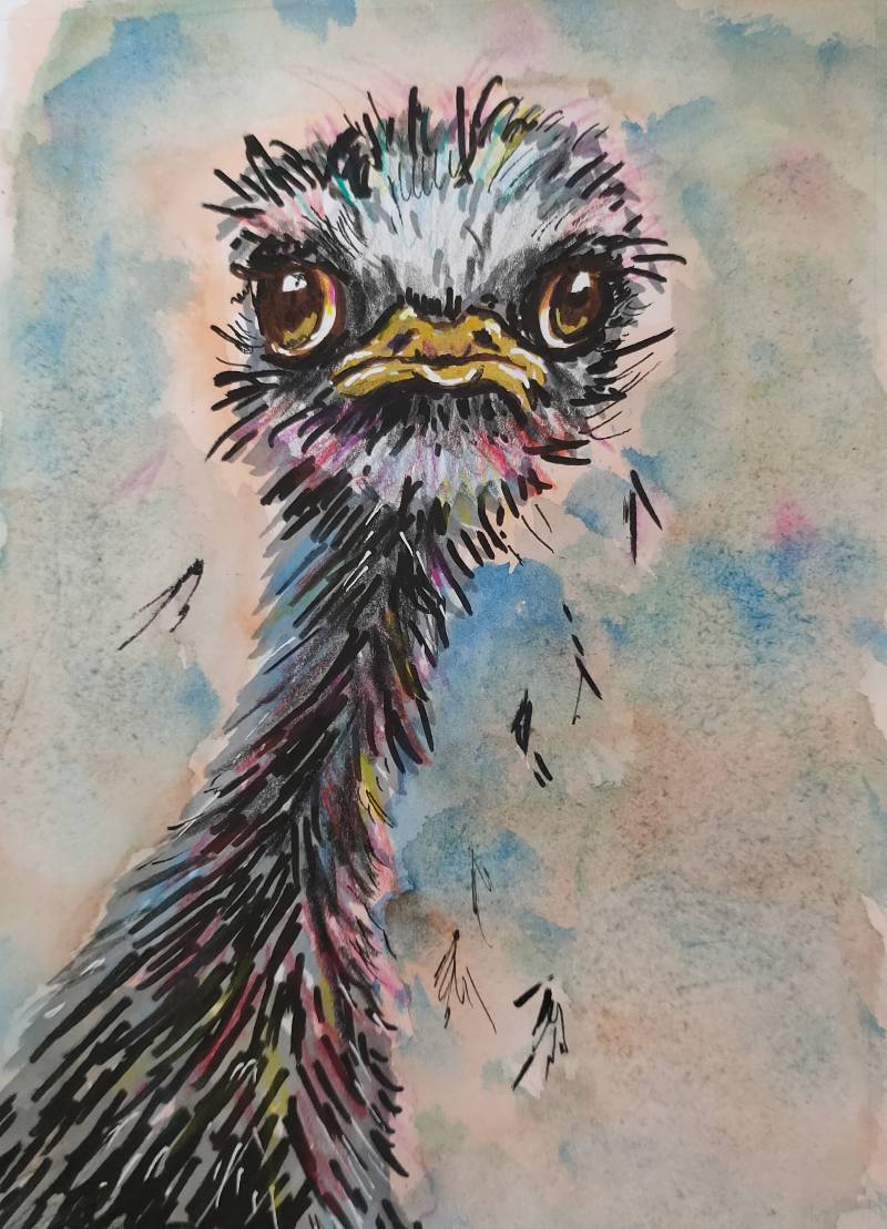 ostrich by Mathilde (Watercolor, Colored pencil, Ink, Markers, Pen, Pencil)