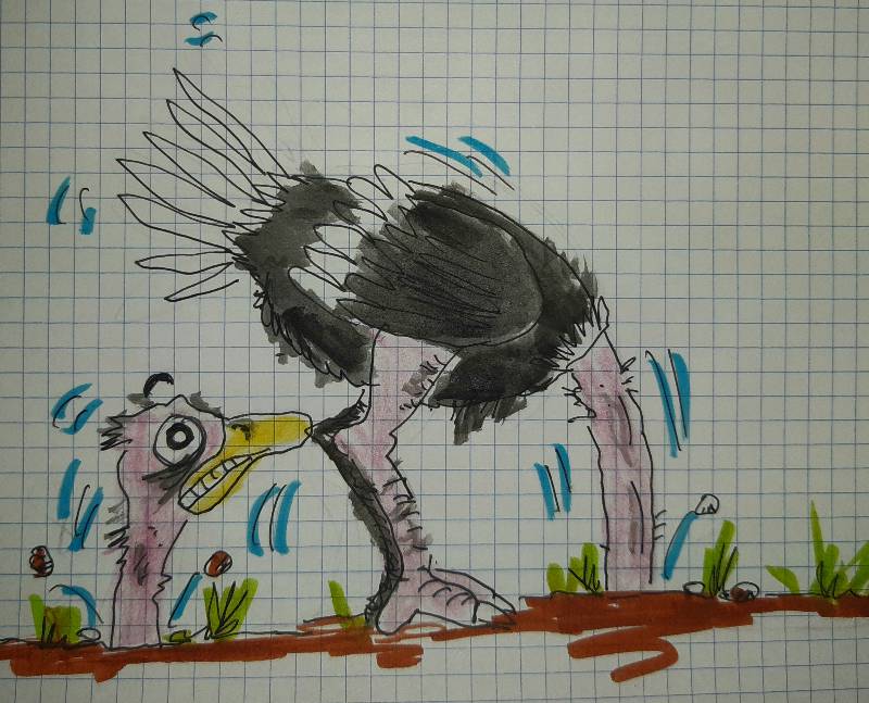 ostrich by Triki (Pencil, Watercolor, Pen, Ink, Markers, Colored pencil)