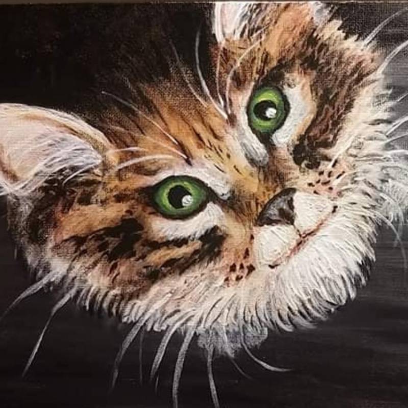 cat drawing by @kotecek