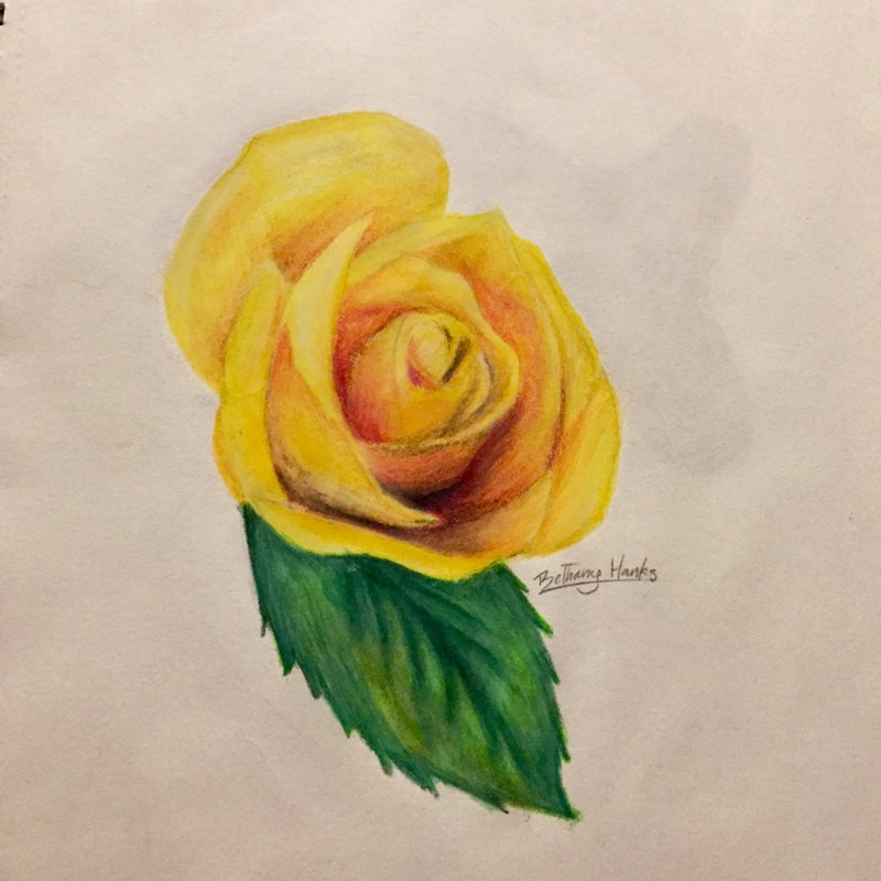 rose by Bettio (Colored pencil)