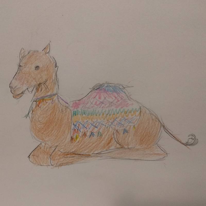 camel by avocados (Pencil, Colored pencil)