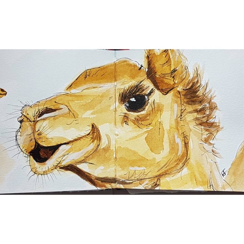 camel by RaeDrawn (Watercolor, Pen)