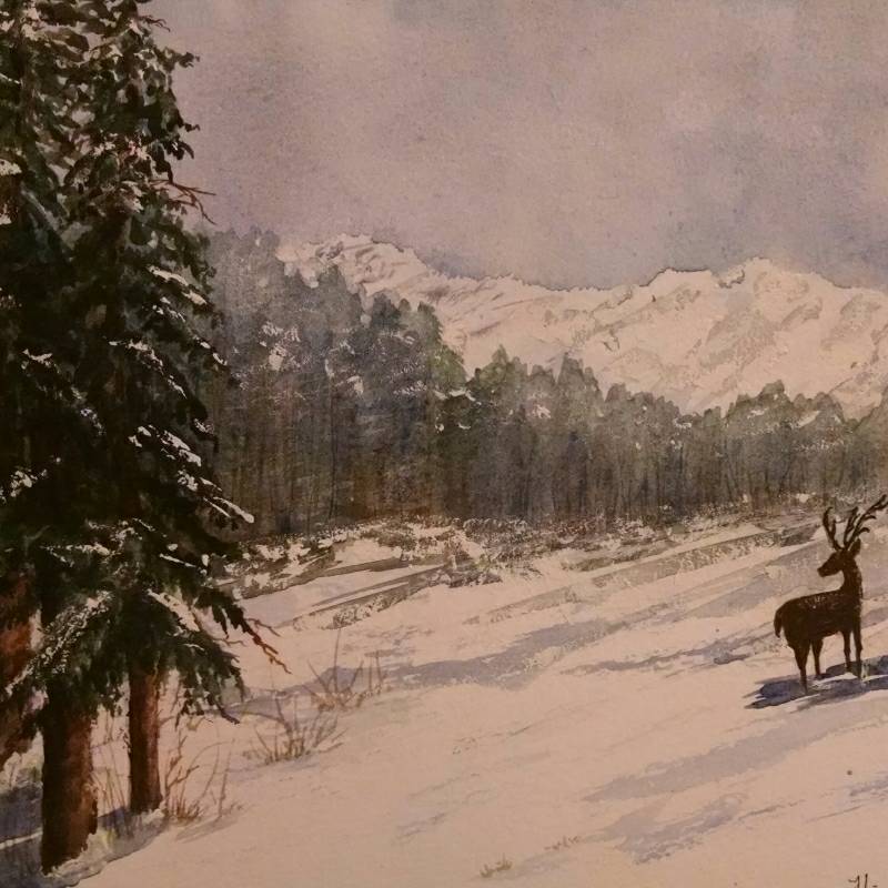 snow by Carolann (Watercolor)