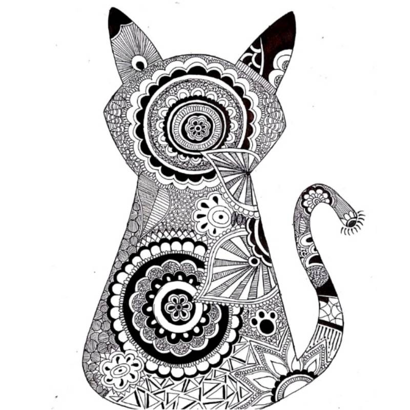 cat by creativesoulprachi (Pen)