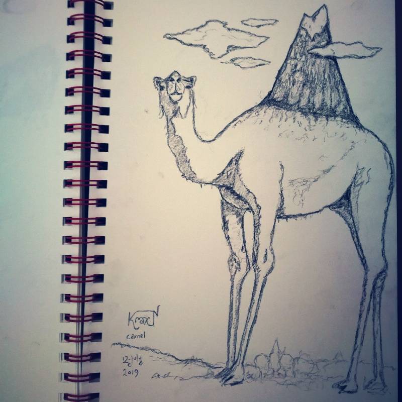 camel by kraxn 