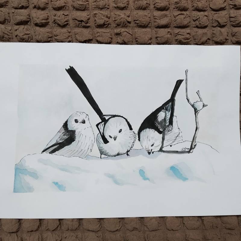 snow by david_shili (Watercolor, Pen)
