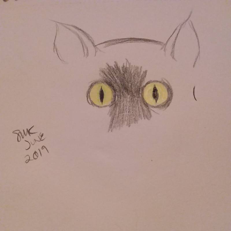 cat by Kitt (Colored pencil)