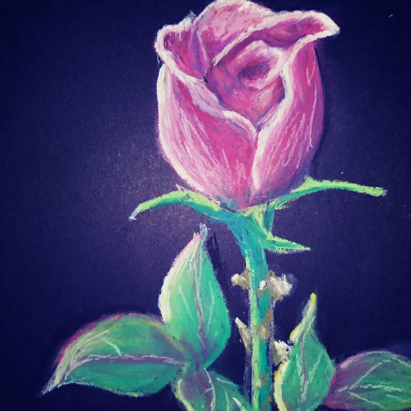 rose by Joanne (Oil pastel)