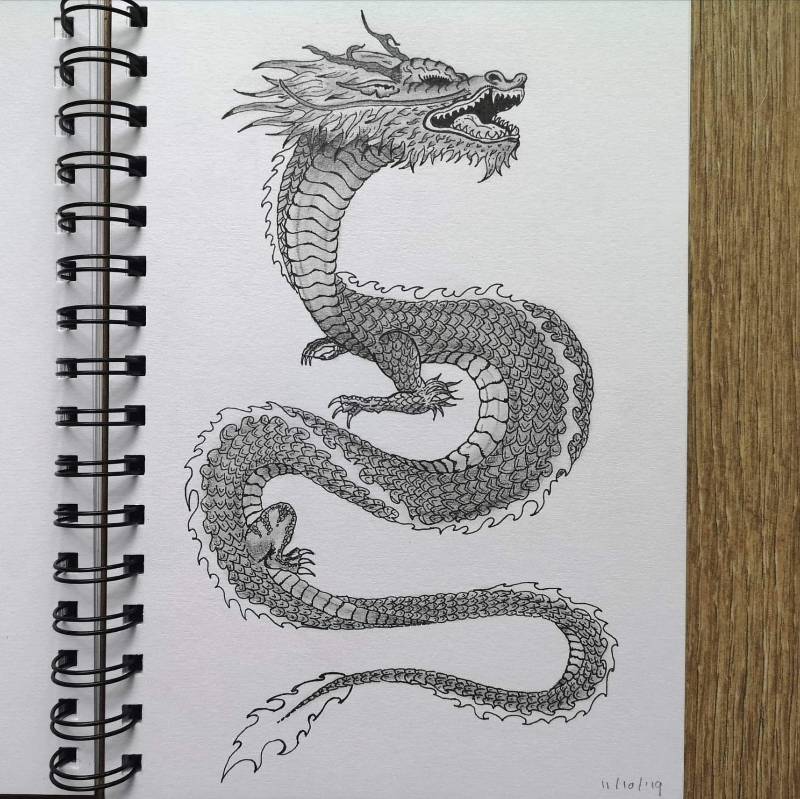 dragon by koala_and_boyfriend (Pen, Pencil)