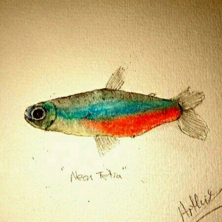 fish by Arthur 