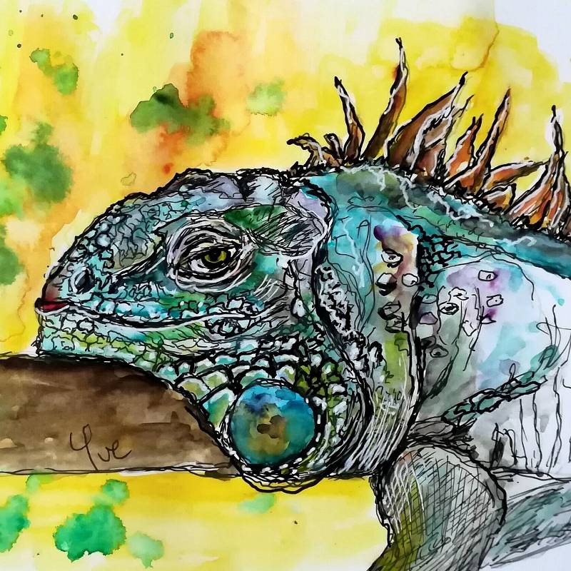 dragon by Yve (Pen, Watercolor)