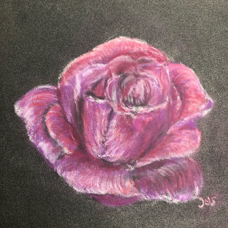 rose by nien (Soft pastel)
