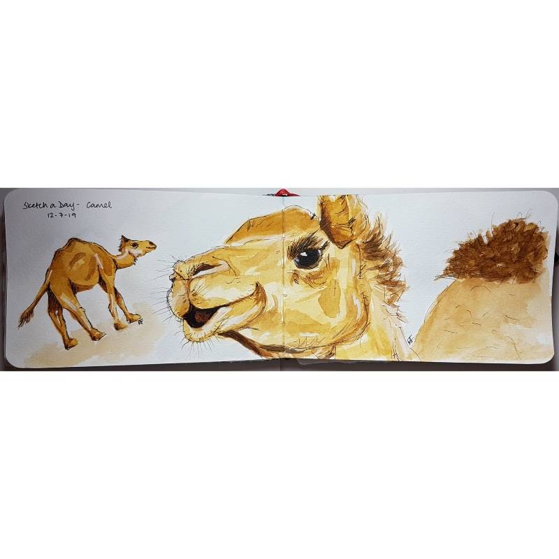 camel by RaeDrawn (Watercolor, Pen)