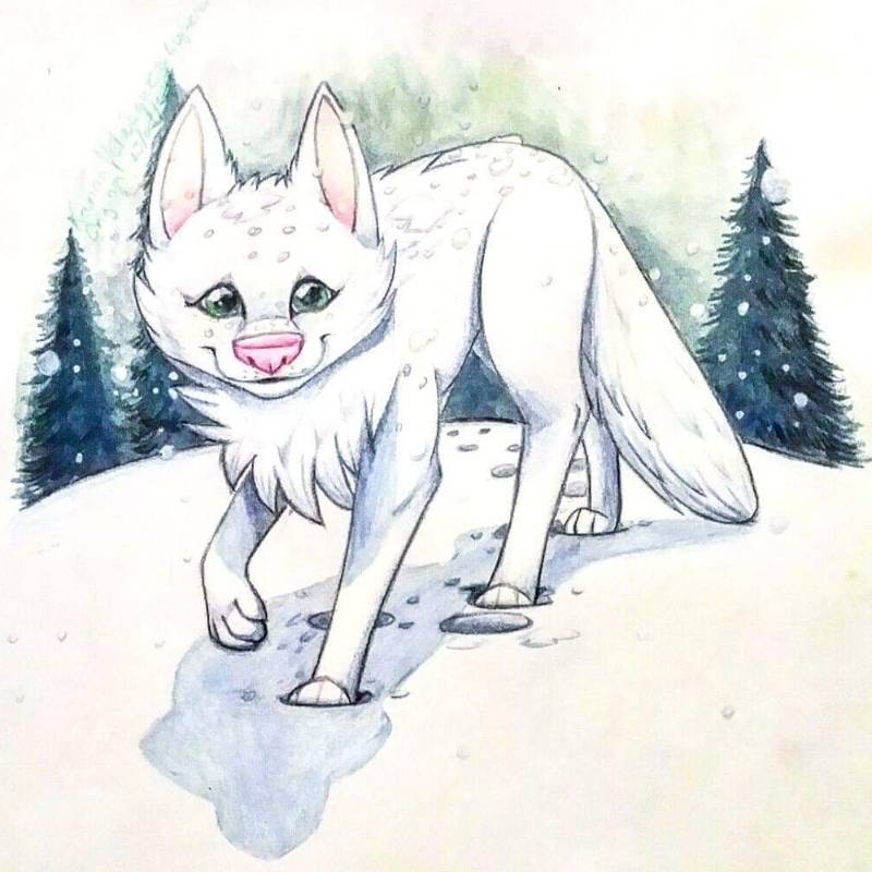 snow by karina_18 (Colored pencil, Watercolor)