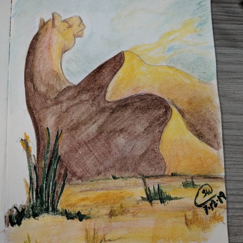 camel by Roxilynn (Watercolor, Pencil)