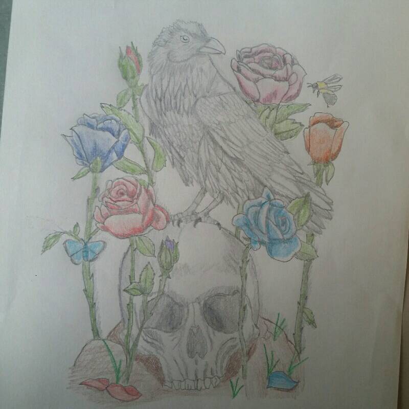 rose by Alexandriaxx (Pencil, Colored pencil)
