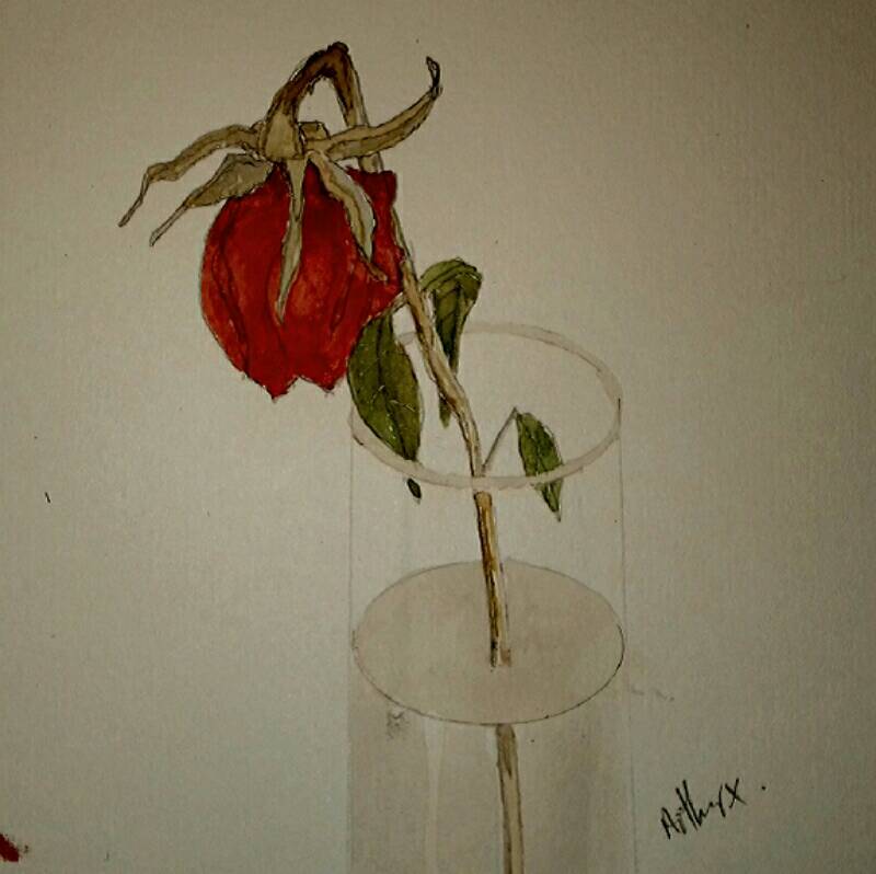 rose by Arthur 
