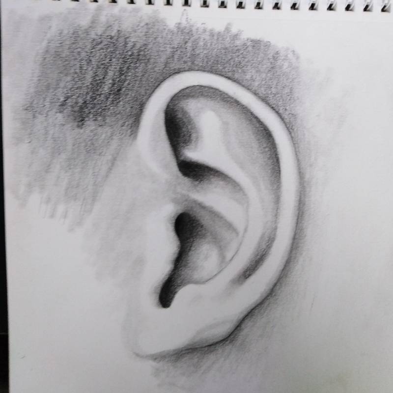 ear by mikrook 