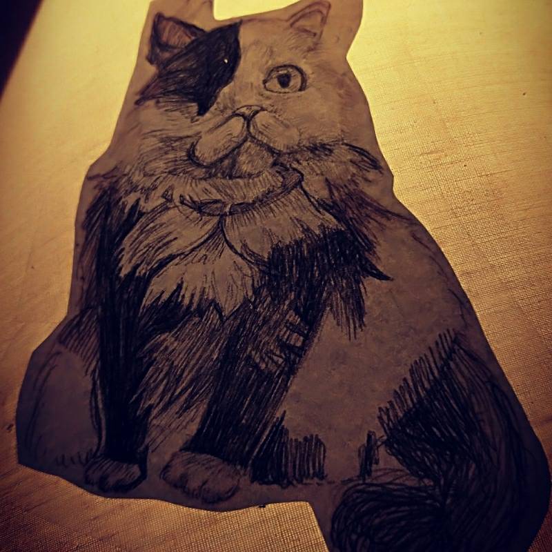 cat by Viromoon (Pen, Ink)