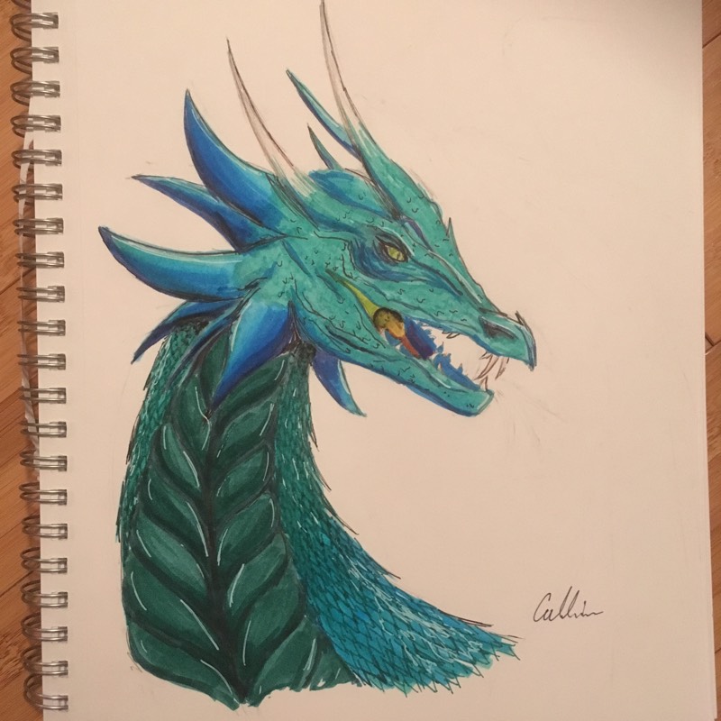 dragon by jennabean (Markers, Pen, Pencil, Colored pencil, Other)