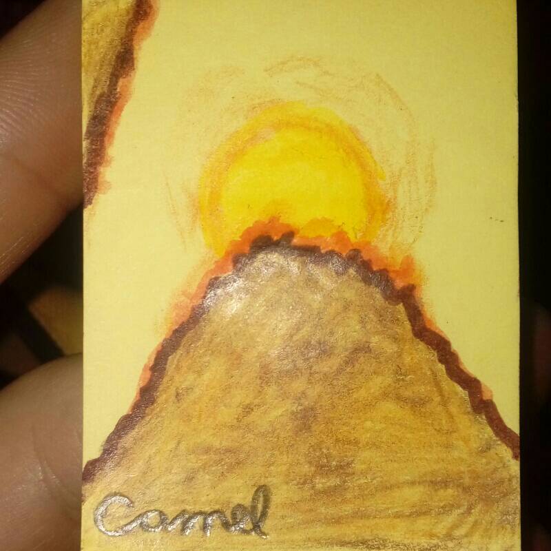 camel by SyberiaGoose (Markers, Colored pencil)