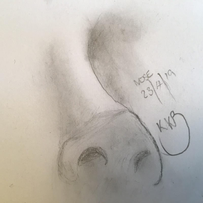 nose by Kkb_AndFamily_JustBeginners (Pencil)