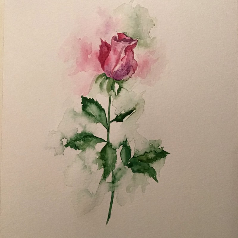 rose by Sally (Watercolor)