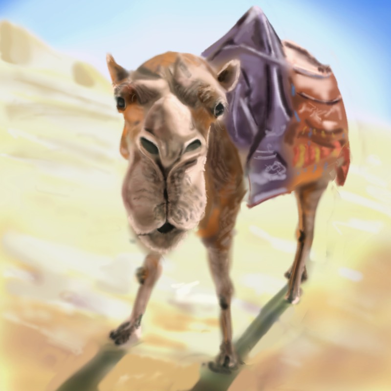 camel by clifforderskine_art 