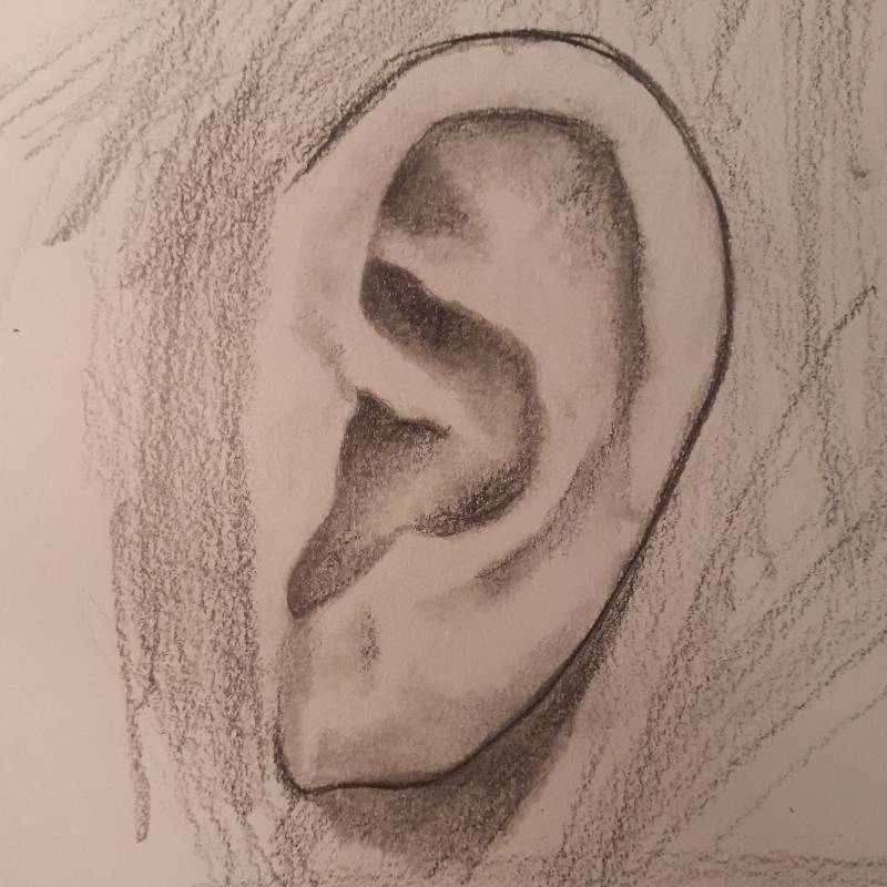 ear by Cuddle_Dickins (Pencil)
