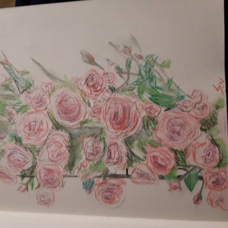 rose by Draceen (Soft pastel)