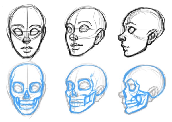 Face From The Side Drawing - How To Draw A Face From The Side Step By Step