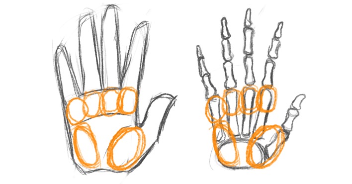 simple skeleton hand drawing