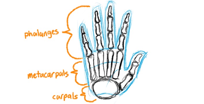 How to Draw Hands - Learn the Secrets of the 3 P's -