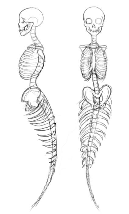 How to Draw a Mermaid Tail StepbyStep Easy Tutorial for Beginners