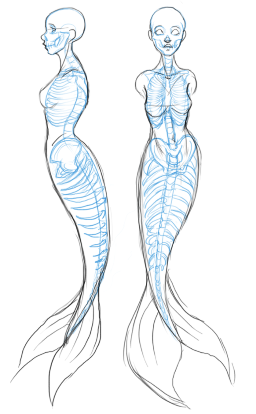 how to draw a realistic mermaid tail